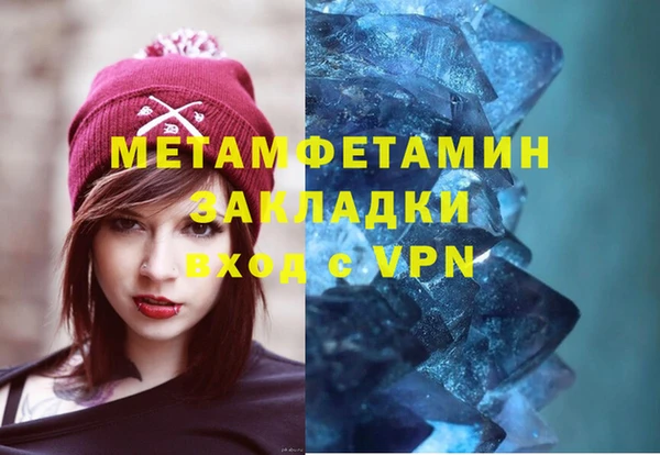 прущие грибы Медногорск