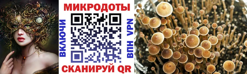 Псилоцибиновые грибы мицелий  Выкса 