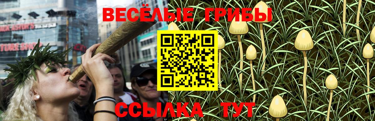 цена наркотик  Галлюциногенные грибы мухоморы  Выкса  Галлюциногенные грибы Psilocybe 