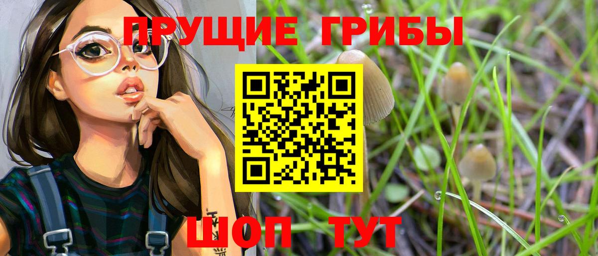 магазин  наркотиков  Галлюциногенные грибы Psilocybe  Вход с VPN  Выкса 